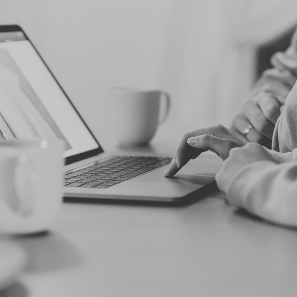 website support, web design for charities, web design for small businesses, web design for start ups